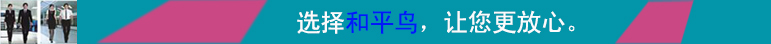 绵阳市和平鸟制衣有限公司